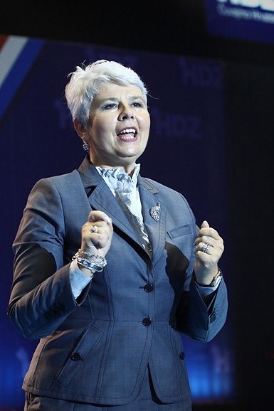 Sabor HDZ-a za IX. izbornu jedinicu (foto:Saša Čuka)