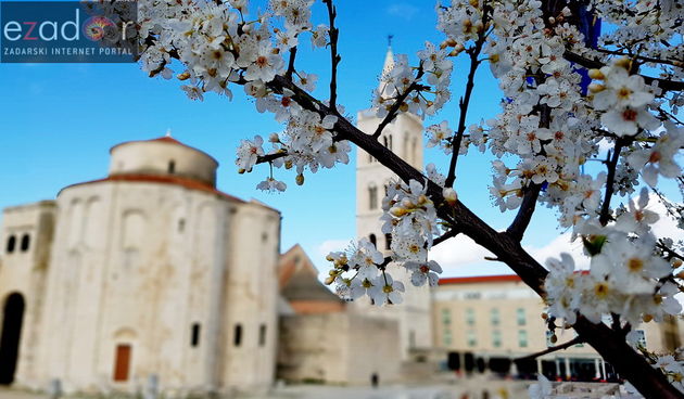 Proljeće u Zadru: rasvjetala priroda