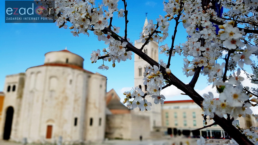 Proljeće u Zadru: rasvjetala priroda