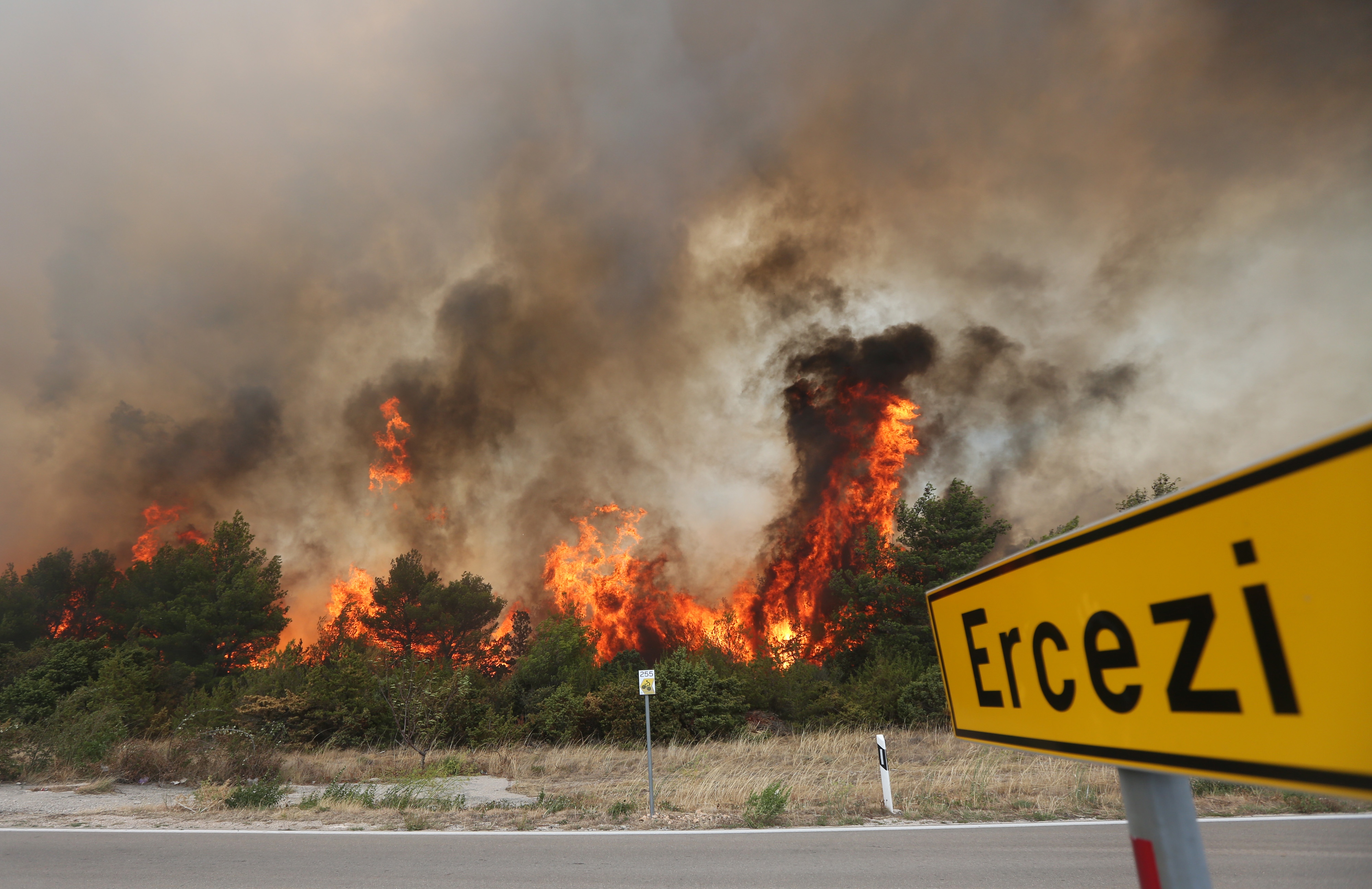 Lozovac: veliki požar zaprijetio kućama, kopnenim snagama pridružila se četiri kanadera Lozovac: veliki požar zaprijetio kućama, kopnenim snagama pridružila se četiri kanadera