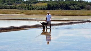Nin – Povijesni gradic Nin pokraj Zadra za svoju prepoznatljivost ima nadaleko poznatu i najstariju hrvatsku solanu. Pod geslom “Prica o soli…” i dan danas se sol proizvodi na tradicionalan nacin. Photo: Damir Spehar/PIXSELL Nin – Povijesni gradic Nin pokraj Zadra za svoju prepoznatljivost ima nadaleko poznatu i najstariju hrvatsku solanu. Pod geslom “Prica o soli…” i dan danas se sol proizvodi na tradicionalan nacin. Photo: Damir Spehar/PIXSELL