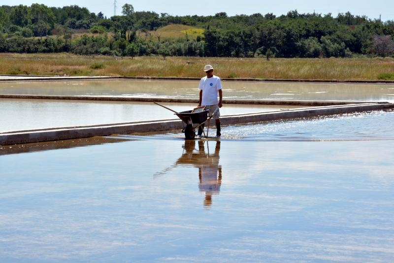 Nin – Povijesni gradic Nin pokraj Zadra za svoju prepoznatljivost ima nadaleko poznatu i najstariju hrvatsku solanu. Pod geslom “Prica o soli…” i dan danas se sol proizvodi na tradicionalan nacin. Photo: Damir Spehar/PIXSELL Nin – Povijesni gradic Nin pokraj Zadra za svoju prepoznatljivost ima nadaleko poznatu i najstariju hrvatsku solanu. Pod geslom “Prica o soli…” i dan danas se sol proizvodi na tradicionalan nacin. Photo: Damir Spehar/PIXSELL