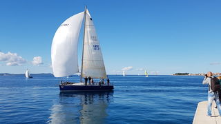 Zadarska Koka 2016. 22. listopada 2016. Foto: Mladen Malik Zadarska Koka 2016. 22. listopada 2016. Foto: Mladen Malik