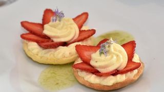 Zadar – Na prezentaciji u Impact centru Kuhar Renato Kraljev pripremao je zajedno s ucenicima tri slana i tri slatka jela s jagodama. Projektom se zeli povecati interes za uzgoj i konzumaciju jagoda u Zadarskoj zupaniji. Photo: Dino Stanin/PIXSELL Autor