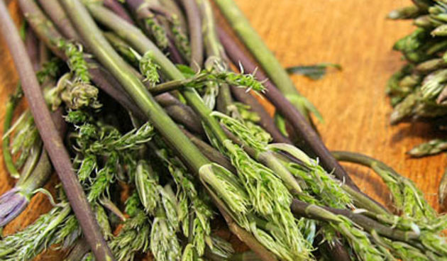 Sparoge – Prevara vreba na i na zadarskoj pijaci