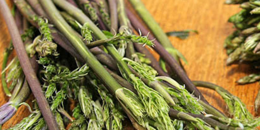 Sparoge – Prevara vreba na i na zadarskoj pijaci Sparoge – Prevara vreba na i na zadarskoj pijaci