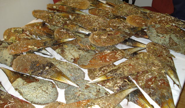 periske (Foto:PU zadarska)