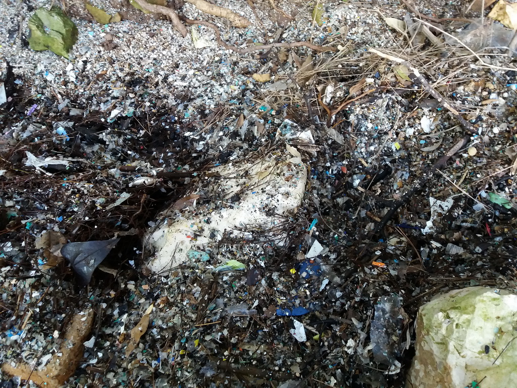 Greenpeace upozorava na problem bacanje plastike u more Greenpeace upozorava na problem bacanje plastike u more