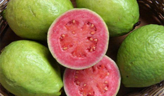 Guava, foto: poljoprivreda.ba