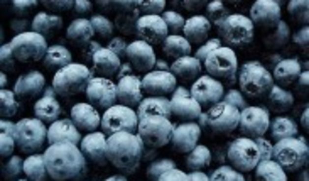 Borovnica ( foto:.metro-portal.hr)