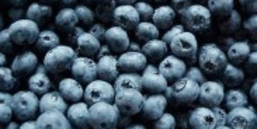 Borovnica ( foto:.metro-portal.hr)