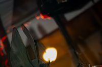 Nipplepeople @ Advent u Zadru – Božićni gramofon na Pijaci