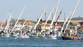 Murter, 021011.
U Murteru odrzana tradicionalna regata brodica ” Latinsko idro” gdje je sudjelovalo sedamdesetak posada.
Na slici: regata.
Foto: Jadran Babic / CROPIX Murter, 021011.
U Murteru odrzana tradicionalna regata brodica ” Latinsko idro” gdje je sudjelovalo sedamdesetak posada.
Na slici: regata.
Foto: Jadran Babic / CROPIX