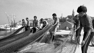 Image 1192091 (auto)