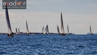 Zadarska koka 2017. Zadarska koka 2017.