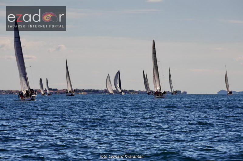 Zadarska koka 2017. Zadarska koka 2017.