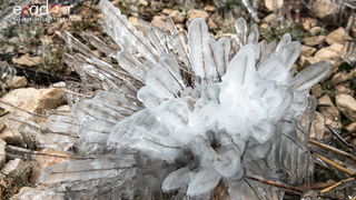 Zimska idila u Parku prirode Vransko jezero Zimska idila u Parku prirode Vransko jezero