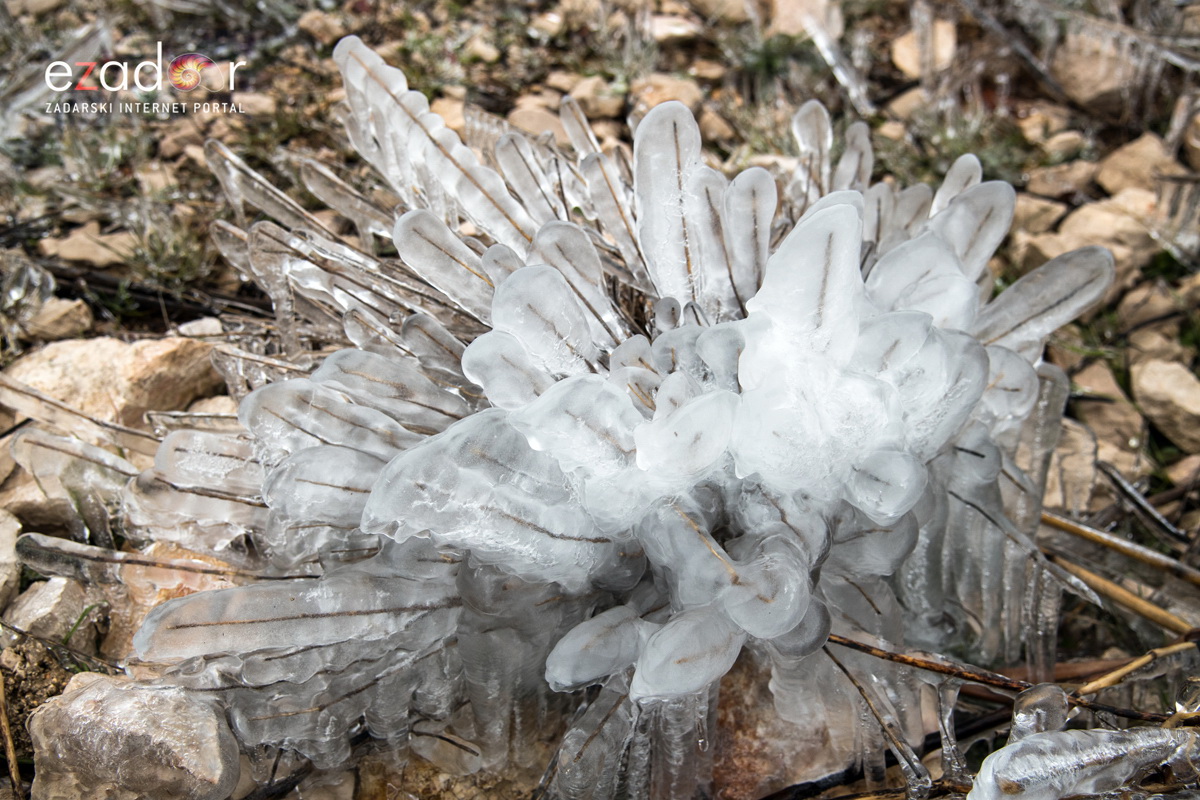 Zimska idila u Parku prirode Vransko jezero Zimska idila u Parku prirode Vransko jezero