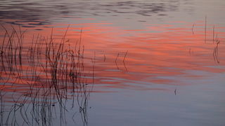 OLYMPUS DIGITAL CAMERA OLYMPUS DIGITAL CAMERA