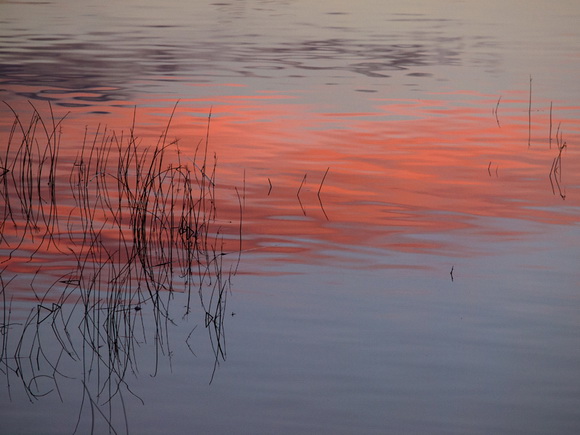 OLYMPUS DIGITAL CAMERA OLYMPUS DIGITAL CAMERA