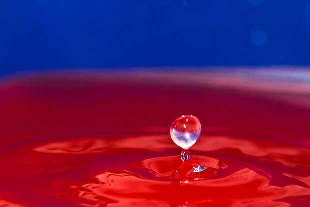 Čudesne kapi, foto: Leo Banić