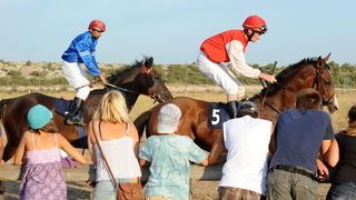 Zadar, 200811.
U Polaci na hipodromu Ravni kotari odrzane su 
14. Medjunarodne galopske konjicke utrke “Oluja 95”. 
Foto: Andrija Lucic / CROPIX