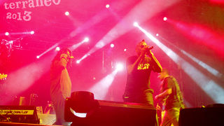 Terraneo 2013