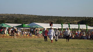 Dani vitezova vranskih, 19. srpnja 2014.