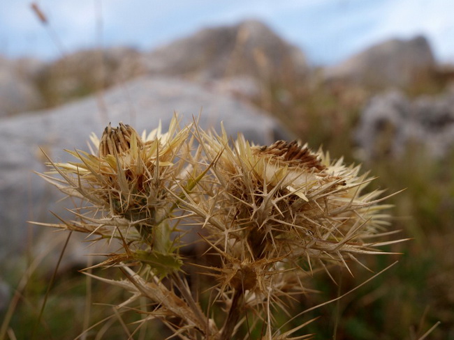 Svilaja, 18 rujna 2010