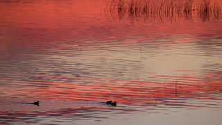 OLYMPUS DIGITAL CAMERA OLYMPUS DIGITAL CAMERA