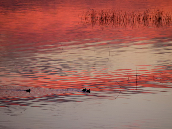 OLYMPUS DIGITAL CAMERA OLYMPUS DIGITAL CAMERA