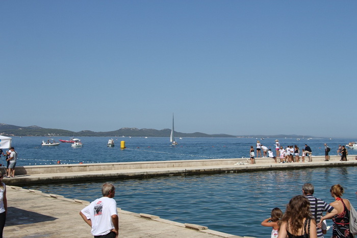 40. Plivački maraton Preko-Zadar, Foto: Edin Kadić 40. Plivački maraton Preko-Zadar, Foto: Edin Kadić