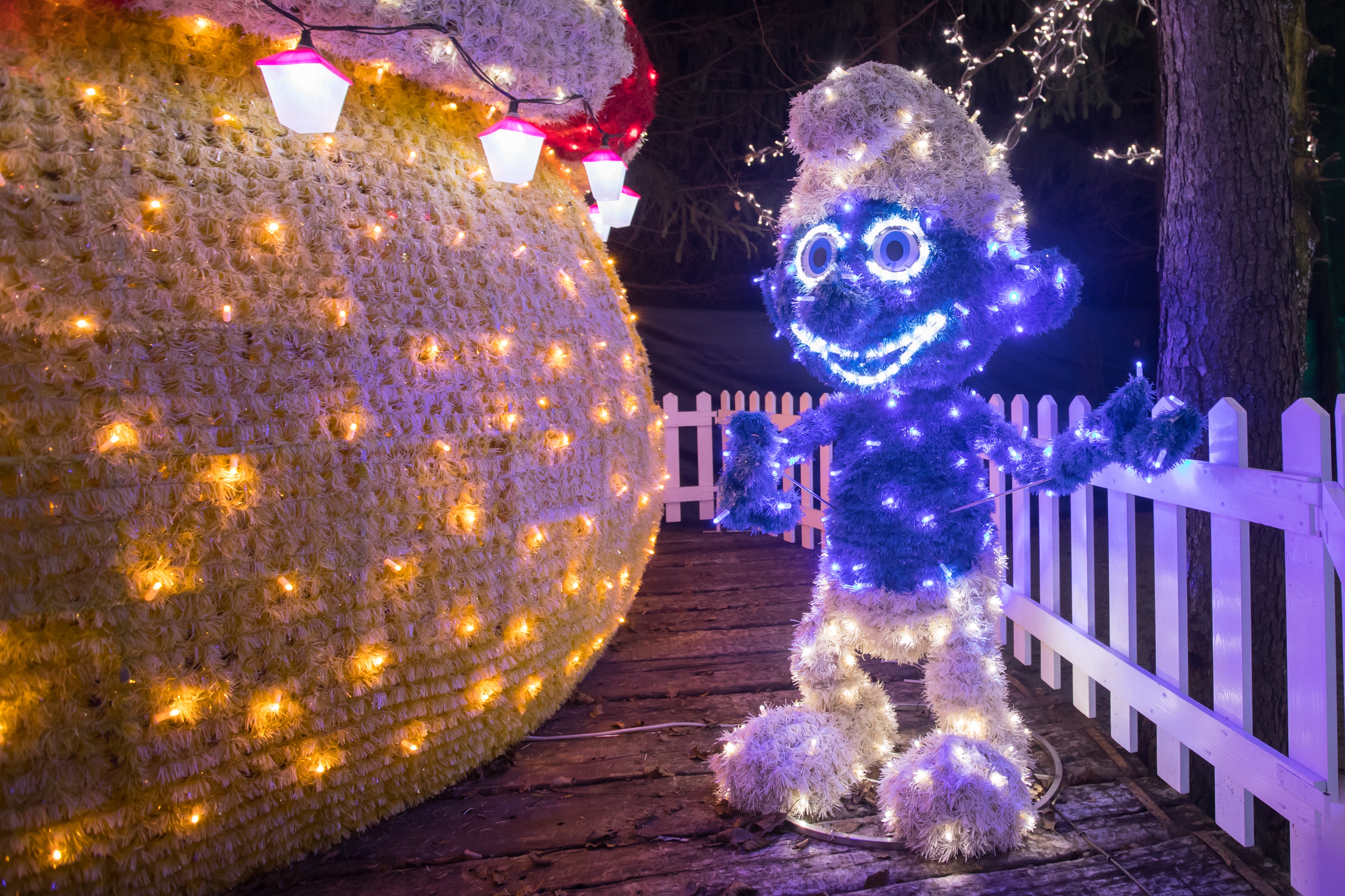 Još raskošnije izdanje: pogledajte kako izgleda Božićna priča obitelji Salaj gdje je ove godine zasjalo rekordnih 2.5 milijuna lampica