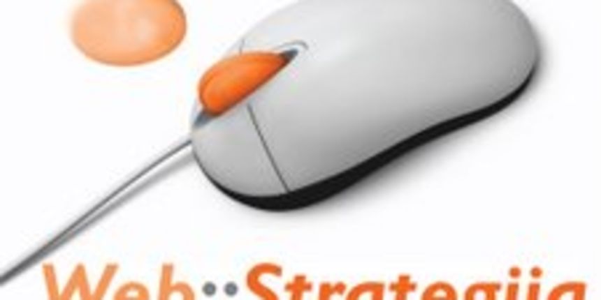 web strategija – logo