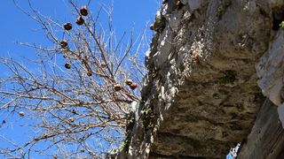 Đir po Skradinu, Foto Kristina Kajic