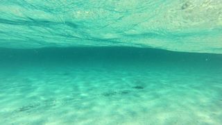 Ljetni dana na dugootočkoj plaži Sakarun, biseru Mediterana s prekrasnim tirkiznim morem, Foto: Filip Brala/PIXSELL Ljetni dana na dugootočkoj plaži Sakarun, biseru Mediterana s prekrasnim tirkiznim morem, Foto: Filip Brala/PIXSELL