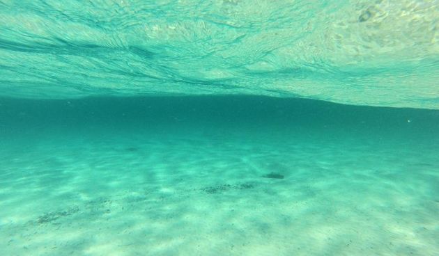 Ljetni dana na dugootočkoj plaži Sakarun, biseru Mediterana s prekrasnim tirkiznim morem, Foto: Filip Brala/PIXSELL