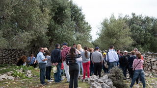 U Vrtovima lunjskih maslina održana 12. Lunjska maslinada. Foto: Vinko Pešić