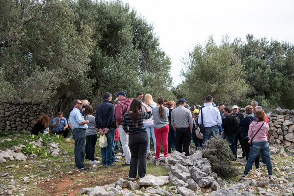 U Vrtovima lunjskih maslina održana 12. Lunjska maslinada. Foto: Vinko Pešić