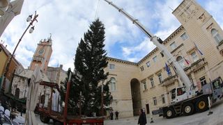 25.11.2013., Zadar – Na Narodnom trgu postavljena je jelka koja ce do prvog mjeseca 2014. krasiti najfrekventnije mjesto u centru grada. Photo: Filip Brala/PIXSELL Autor Filip Brala/PIXSELL KLJUČNE RIJEČI Narodni trg, bor, Jelka, Bozicni ugodjaj, bozi 25.11.2013., Zadar – Na Narodnom trgu postavljena je jelka koja ce do prvog mjeseca 2014. krasiti najfrekventnije mjesto u centru grada. Photo: Filip Brala/PIXSELL Autor Filip Brala/PIXSELL KLJUČNE RIJEČI Narodni trg, bor, Jelka, Bozicni ugodjaj, bozi