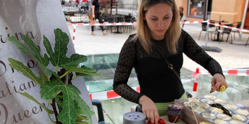 Sajam smokava na Poljani Šime budinića/Festival smokava/smokve, foto: I. Perinčić Sajam smokava na Poljani Šime budinića/Festival smokava/smokve, foto: I. Perinčić