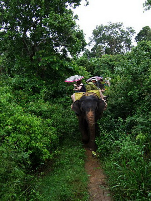 Sri Lanka, foto: S. Miocic