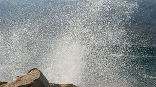 Image 1177853 (auto)