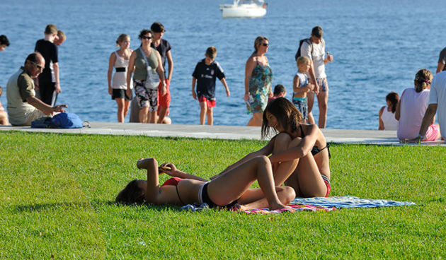 Image 996651 (auto)