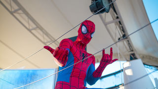 party, zrce, aquarius klub