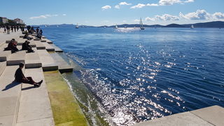 Zadarska Koka 2016. 22. listopada 2016. Foto: Mladen Malik Zadarska Koka 2016. 22. listopada 2016. Foto: Mladen Malik