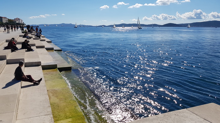 Zadarska Koka 2016. 22. listopada 2016. Foto: Mladen Malik Zadarska Koka 2016. 22. listopada 2016. Foto: Mladen Malik