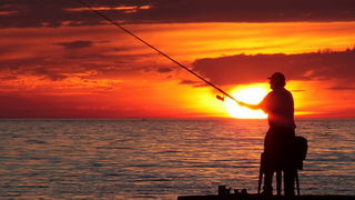 Diklo: ujetnicke fotografije  foto: Angelo Virag