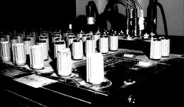 Mikseta (pticica.com)