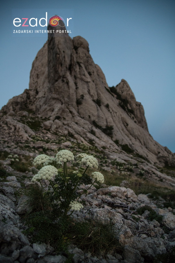 Prekrasna zvjezdana noć na Tulovim gredama Prekrasna zvjezdana noć na Tulovim gredama